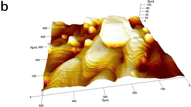 Three-dimensional map of contour pattern