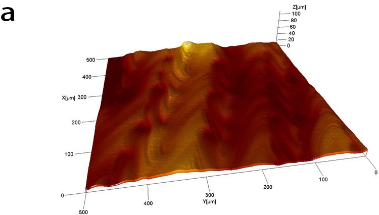 Mappa tridimensionali della scansione di tipo meander