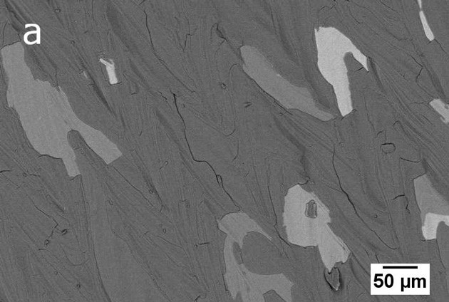 Immagini SEM a elettroni retrodiffusi che mostrano il rivestimento AlTiN depositato su una superficie SLM incontaminata